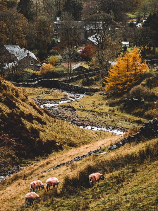 quaint country village